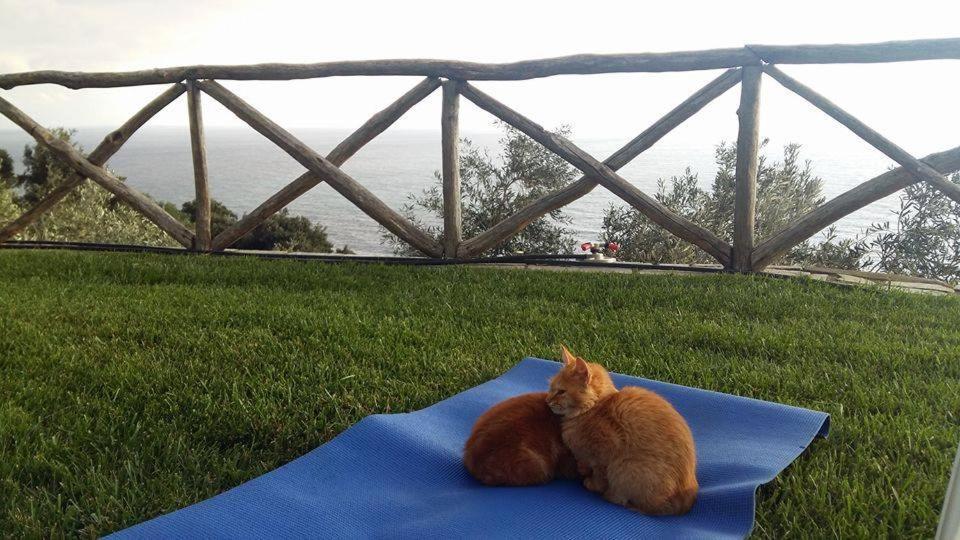 Villa Armonia Neochori  Dış mekan fotoğraf