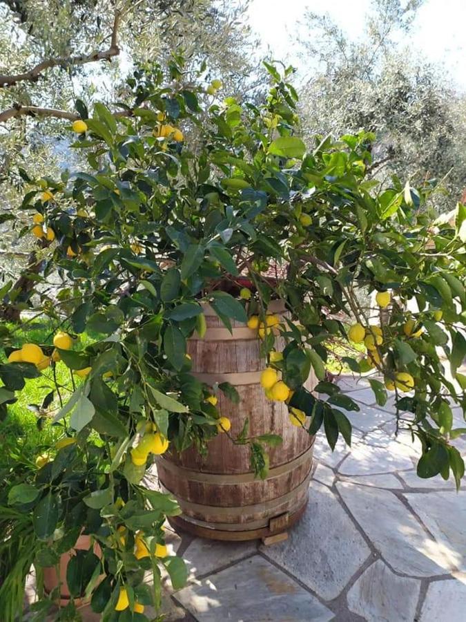 Villa Armonia Neochori  Dış mekan fotoğraf