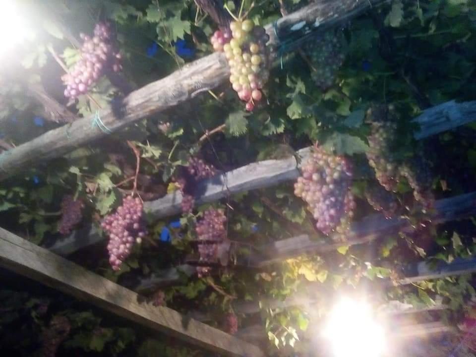 Villa Armonia Neochori  Dış mekan fotoğraf